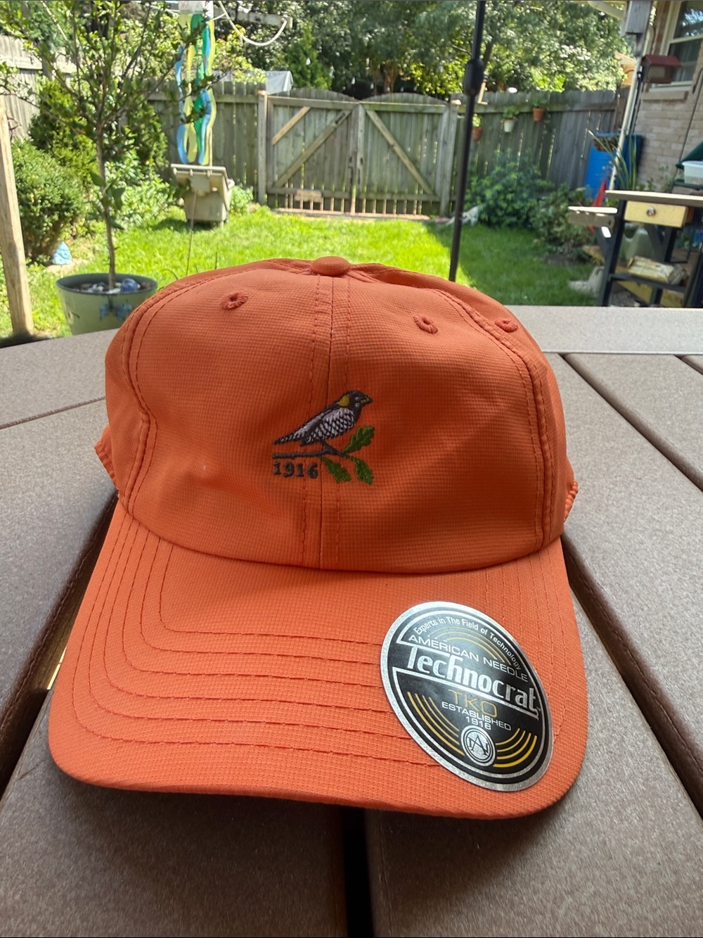 American Needle Bird 1916 Logo Adjustable Hat NPS